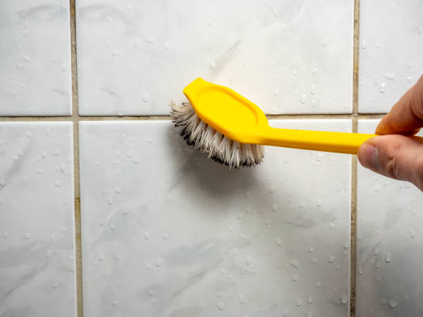 Best Mold Removal Company Near Me  in Benton, IL