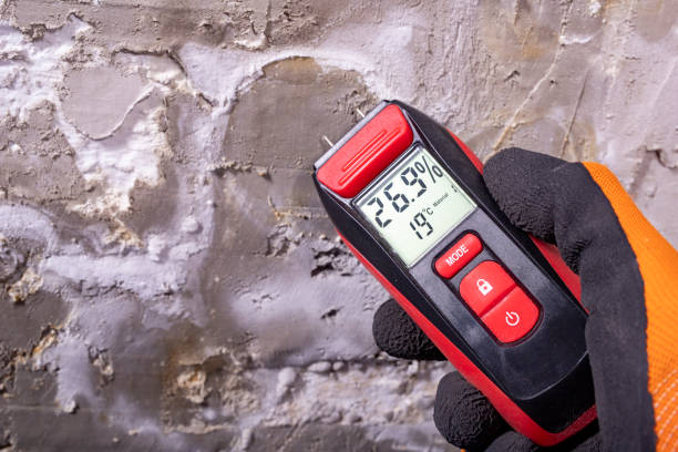 Best Emergency Mold Removal  in Benton, IL