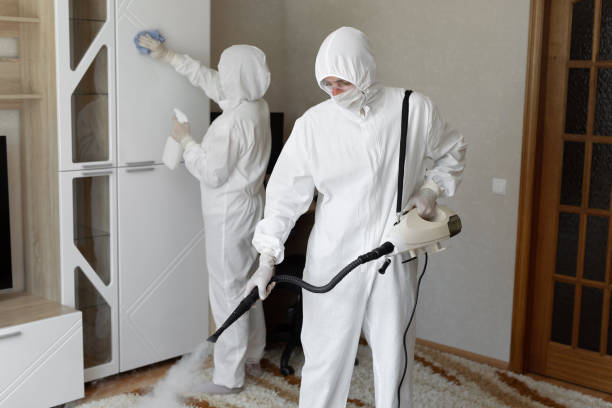 Best Certified Mold Removal  in Benton, IL