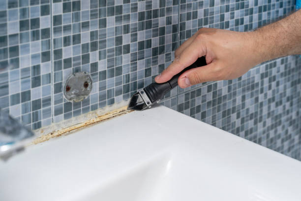 Reliable Benton, IL Mold Removal Solutions